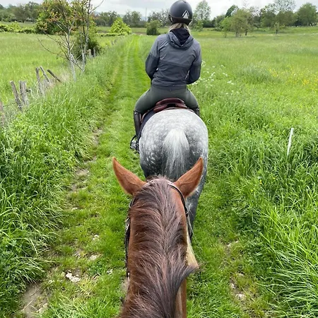 Apartment Horse Sylvains-les-Moulins
