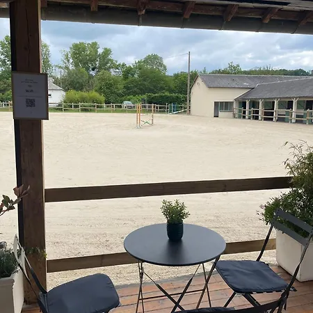Horse Apartment *