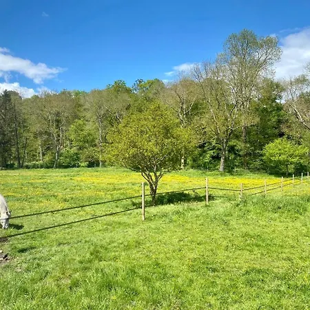 Horse Apartment Sylvains-les-Moulins